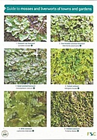 Guide to Mosses and Liverworts of Towns and Gardens (Paperback)