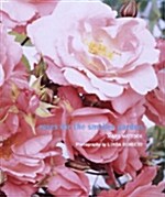 Roses For The Smaller Garden (Hardcover)