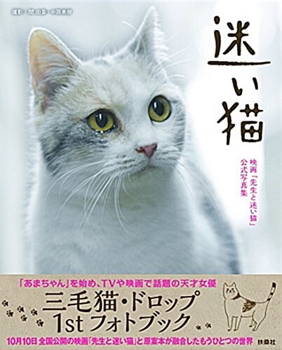 迷い猫―映畵「先生と迷い猫」公式寫眞集― (單行本(ソフトカバ-))