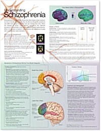 Understanding Schizophrenia Anatomical Chart (Other, Paper Unmounted)