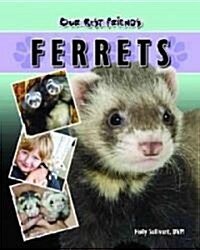 Ferrets (Hardcover)