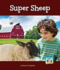 Super Sheep (Library Binding)