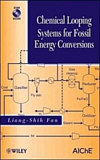Chemical Looping Systems for Fossil Energy Conversions [With CDROM] (Hardcover)