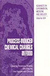 Process-Induced Chemical Changes in Food (Hardcover)
