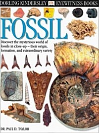 [중고] Dk Eyewitness Fossil (Hardcover)
