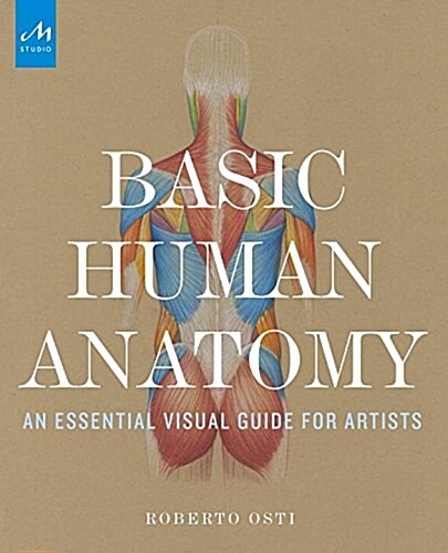 Basic Human Anatomy: An Essential Visual Guide for Artists (Hardcover)