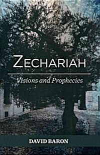 Zechariah: Visions and Prophets (Paperback)