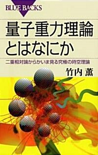 量子重力理論とはなにか (ブル-バックス) (新書)