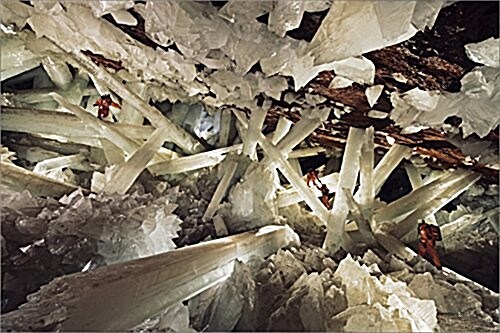ナショジオが行ってみた究極の洞窟 2016年 カレンダ- 壁掛け (オフィス用品)