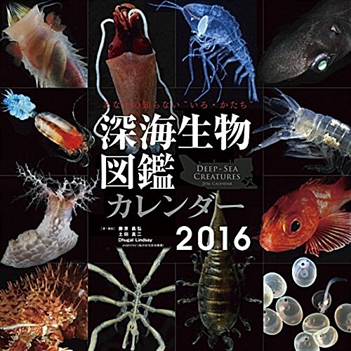 深海生物圖鑑 2016年 カレンダ- 壁掛け (オフィス用品)