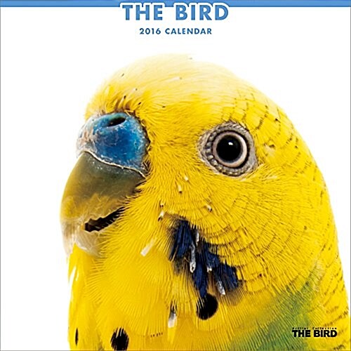 THE BIRD  2016年 カレンダ- 壁掛け (オフィス用品)