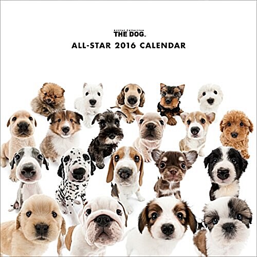 THE DOG ALL-STAR 2016年 カレンダ- 壁掛け (オフィス用品)