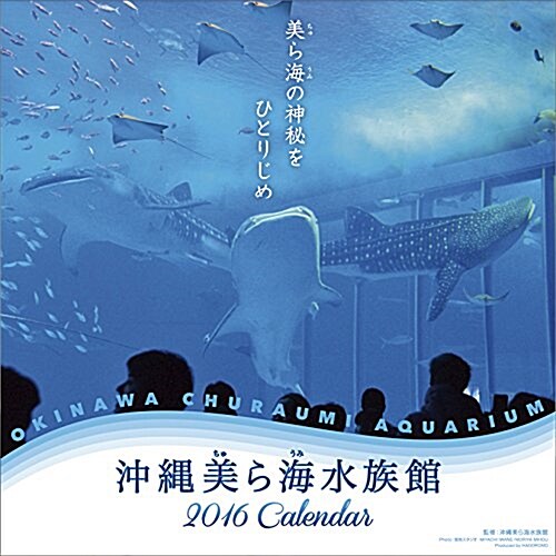 沖繩美ら海水族館 2016年 カレンダ- 壁掛け (オフィス用品)