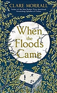 When the Floods Came (Paperback)