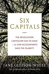 Six Capitals : The Revolution Capitalism Has to Have - or Can Accountants Save the Planet? (Hardcover)