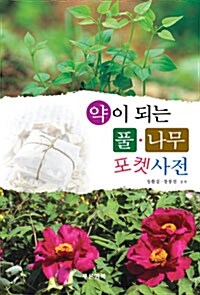 [중고] 약이 되는 풀.나무 포켓사전