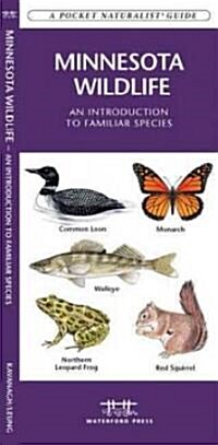 Minnesota Wildlife: A Folding Pocket Guide to Familiar Animals (Hardcover)