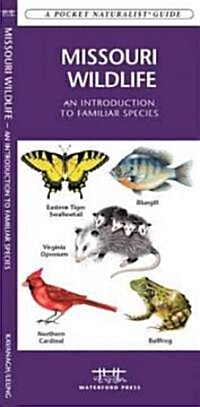 Missouri Wildlife: A Folding Pocket Guide to Familiar Animals (Hardcover)