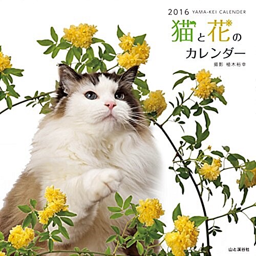 カレンダ-2016 猫と花のカレンダ- (ヤマケイカレンダ-2016) (カレンダ-)