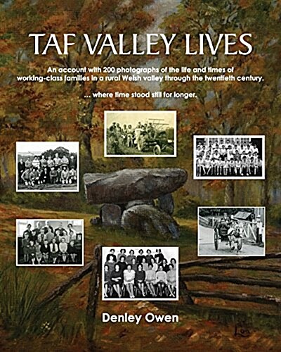 Taf Valley Lives (Paperback)