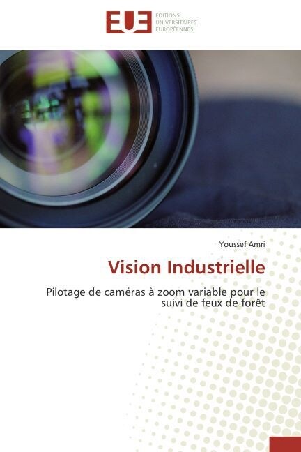 Vision Industrielle (Paperback)