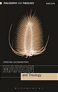 Marion and Theology (Paperback)