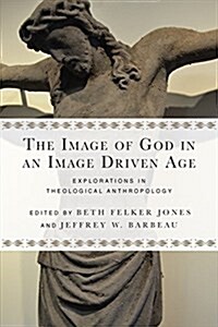 The Image of God in an Image Driven Age: Explorations in Theological Anthropology (Paperback)