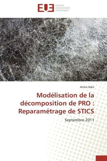 Mod?isation de la D?omposition de Pro: Reparam?rage de Stics (Paperback)