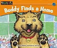 [중고] Buddy Finds a Home Leveled Text (Paperback)