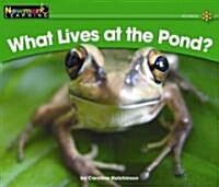 [중고] What Lives at the Pond? (Paperback)