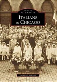 Italians in Chicago (Paperback)