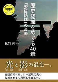 歷史認識をめぐる40章 (さよなら安倍政權) (單行本)