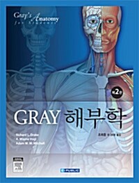 Gray 해부학