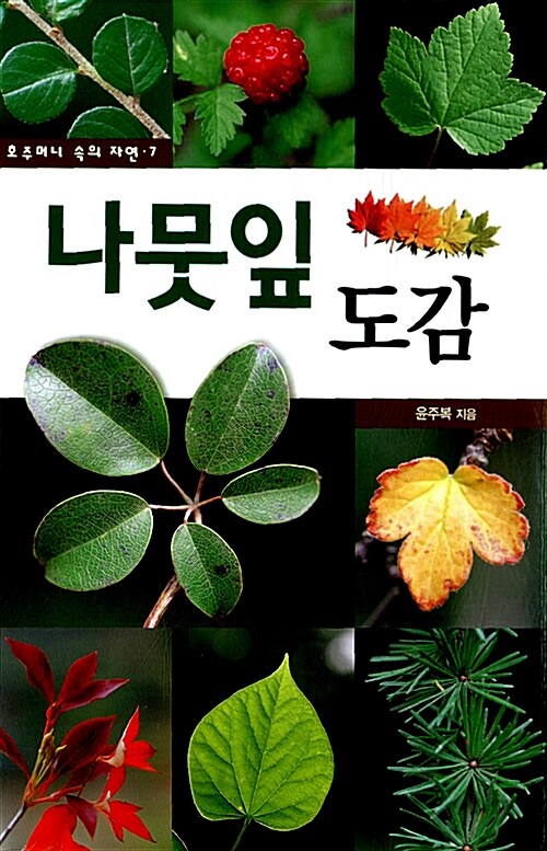 나뭇잎 도감 표지이미지