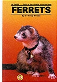 Ferrets (Hardcover, 2nd)