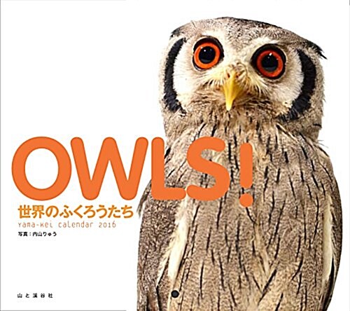 カレンダ-2016 OWLS 世界のふくろうたち (ヤマケイカレンダ-2016) (カレンダ-)