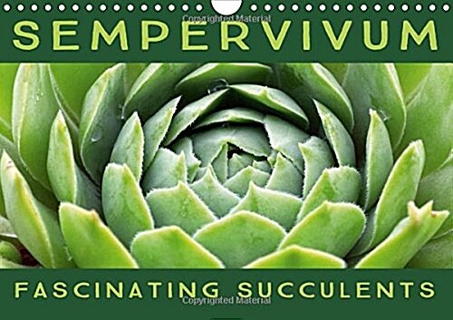 Sempervivum Fascinating Succulents 2016 : Sempervivum, 12 Wonderful Portraits of the Fascinating Succulents (Calendar)