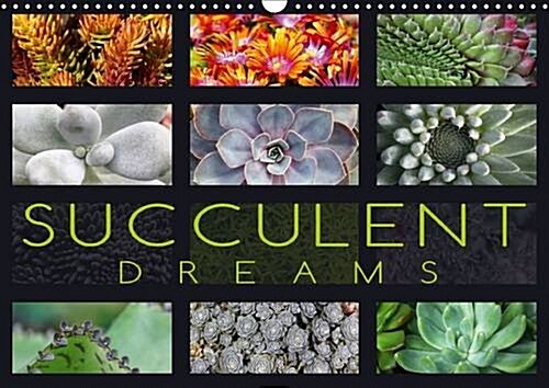 Succulent Dreams 2016 : Beautiful Portraits of Selected Succulents (Calendar)