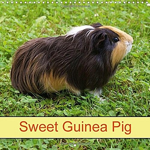 Sweet Guinea Pig 2016 : Rodents and Pets (Calendar)