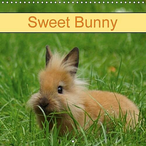Sweet Bunny 2016 : Rabbits and Pets (Calendar)
