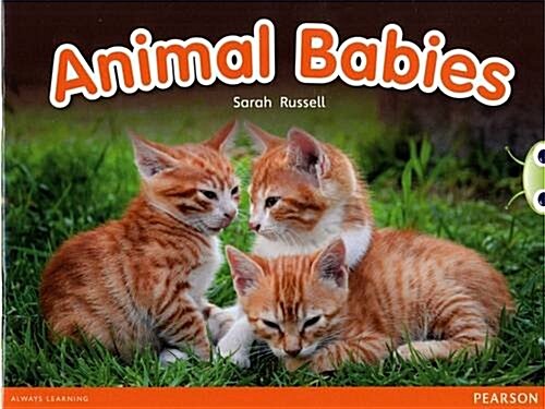 Bug Club Independent Non Fiction Reception Red B Animal Babies (Paperback)
