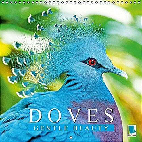 Doves Gentle Beauty 2016 : Gentle Cooings and Soft Wingbeats (Calendar)