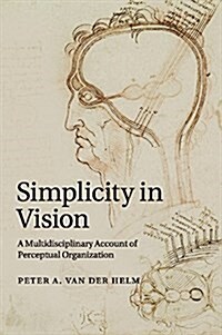 Simplicity in Vision : A Multidisciplinary Account of Perceptual Organization (Paperback)