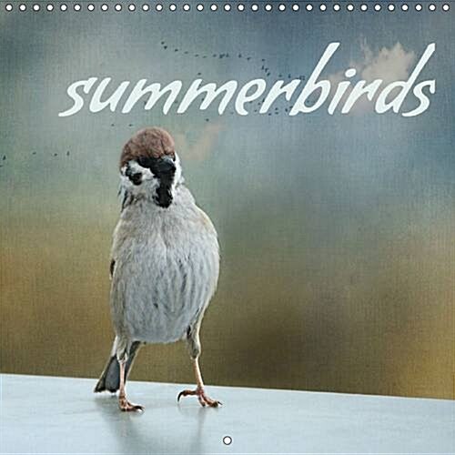 Summerbirds 2016 : Birds in Summer (Calendar)