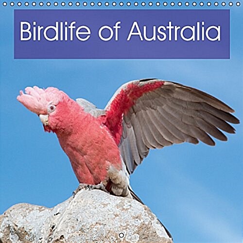Birdlife of Australia 2016 : A Beautiful Calendar That Showcases Some of the Unique Birdlife of Australia (Calendar)