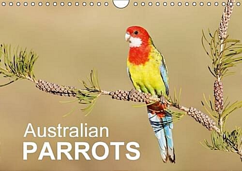 Australian Parrots : Beautiful Photographs of Australian Parrots (Calendar)