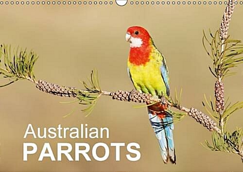 Australian Parrots : Beautiful Photographs of Australian Parrots (Calendar)