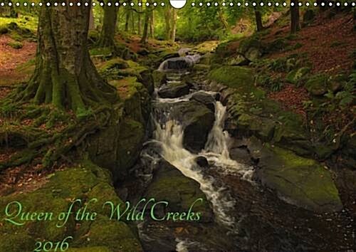 Queen of the Wild Creeks 2016 : Meet the Unique Color Palettes Wild Brown Trout (Calendar)
