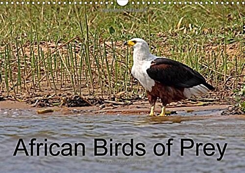 African Birds of Prey 2016 : A Selection of African Birds of Prey (Calendar)