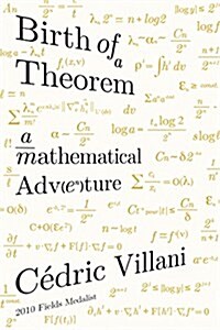 Birth of a Theorem: A Mathematical Adventure (Paperback)